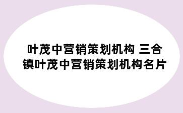 叶茂中营销策划机构 三合镇叶茂中营销策划机构名片